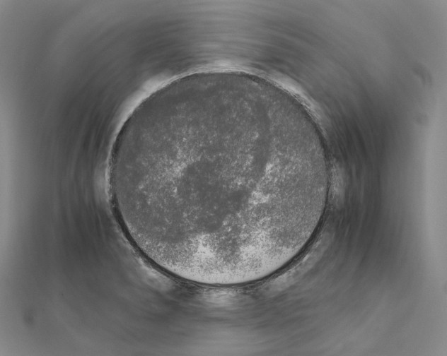 X0000111451278200908241158