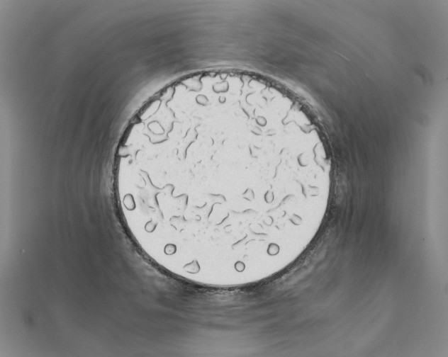 X0000111451279200908241158