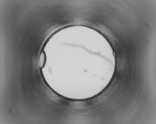 X0000111451280200908241158