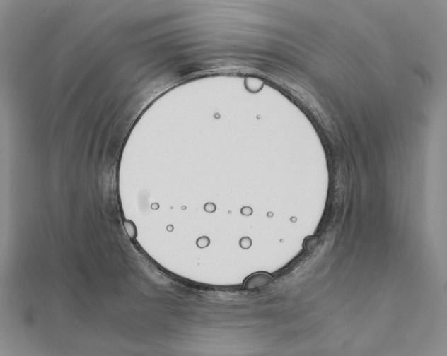 X0000111451281200908241158