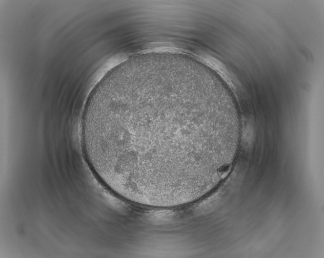 X0000111451282200908241158