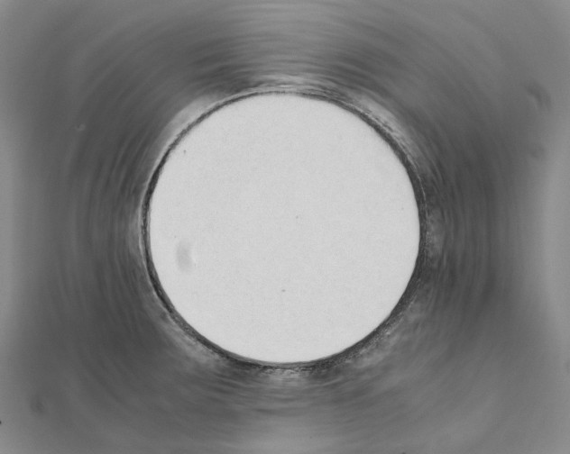 X0000111451283200908241158