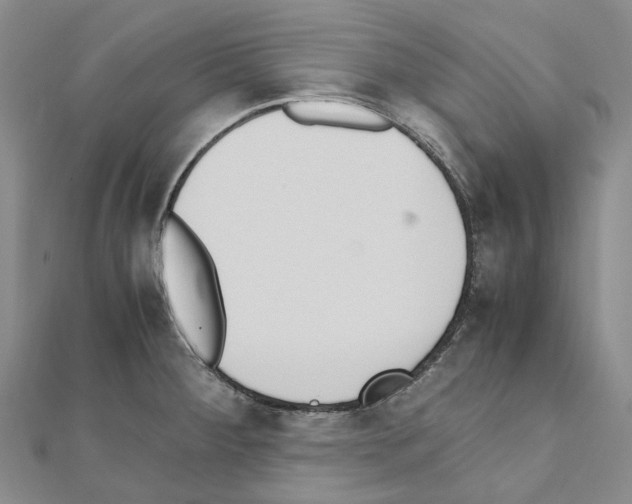 X0000111451284200908241158