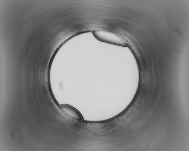 X0000111451285200908241157