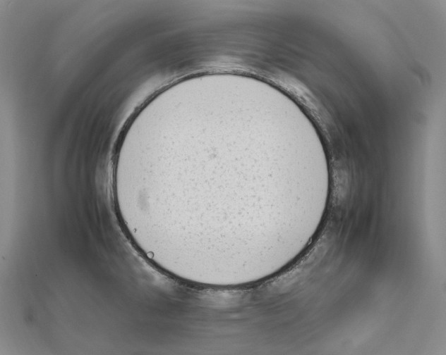 X0000111451286200908241157