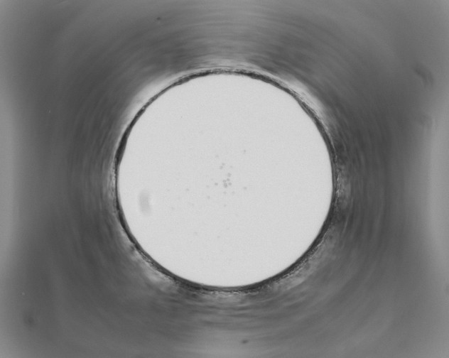 X0000111451287200908241157