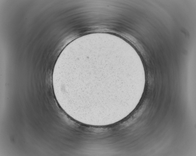 X0000111451289200908241157