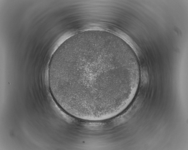 X0000111451290200908241157