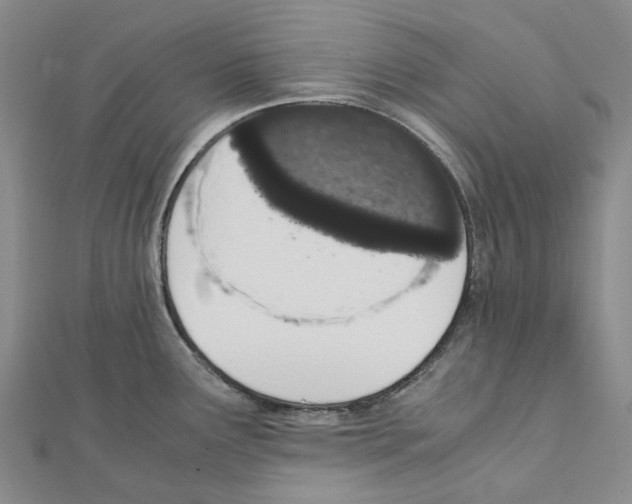 X0000111451291200908241157