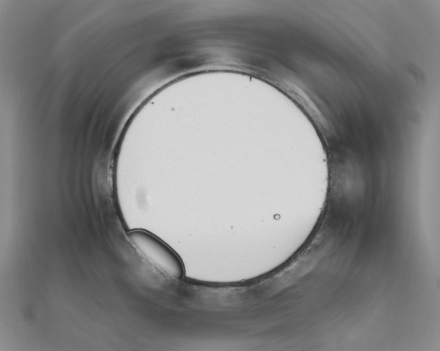 X0000111451292200908241157