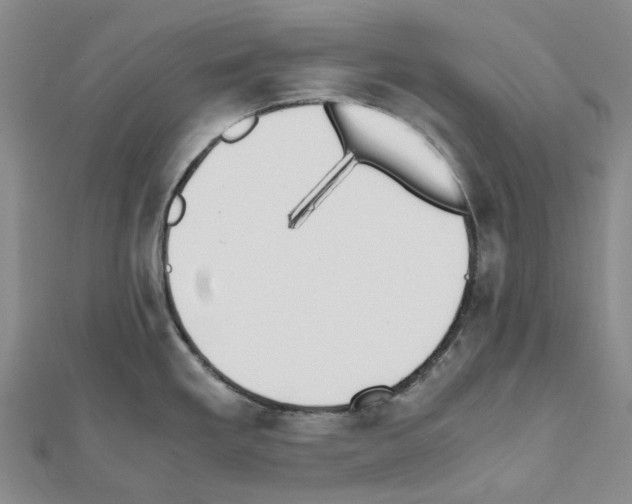X0000111451293200908241157