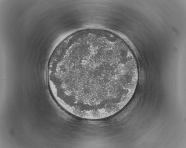 X0000111451295200908241157