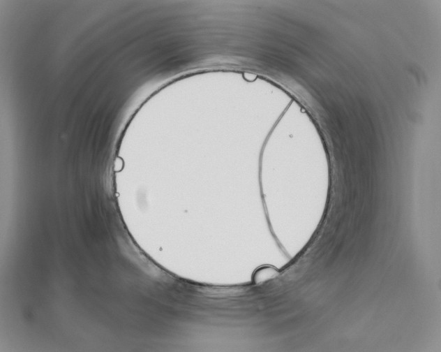 X0000111451296200908241157