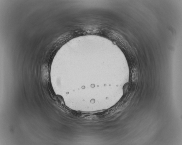 X0000111451298200908241157