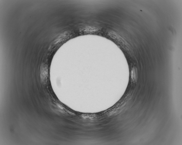 X0000111451299200908241157