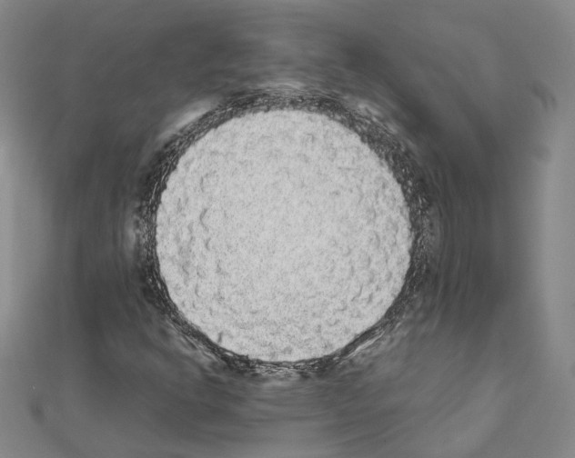 X0000111451302200908241157