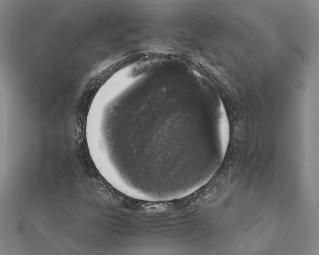 X0000111451303200908241157