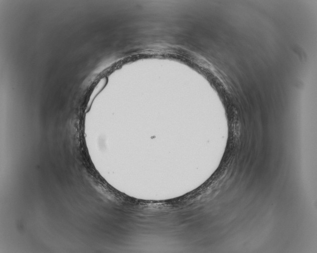 X0000111451304200908241157