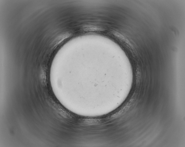 X0000111451305200908241157