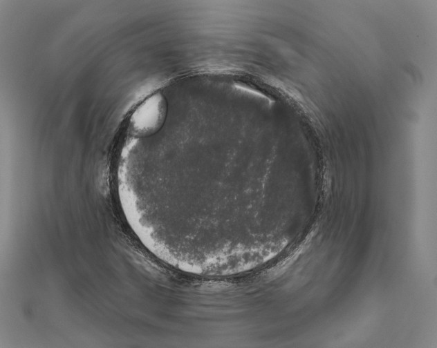 X0000111451306200908241157