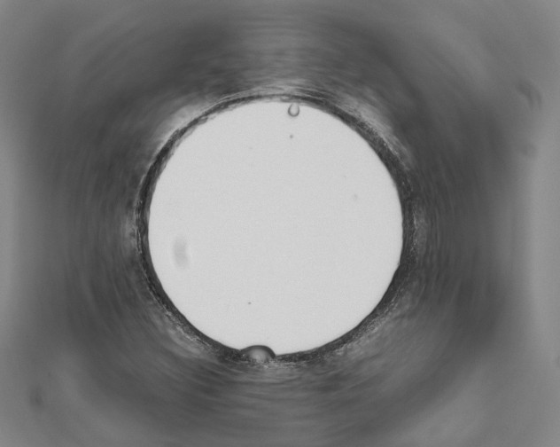 X0000111451308200908241157