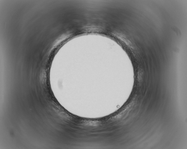 X0000111451309200908241157