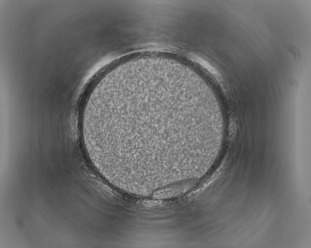 X0000111451310200908241157