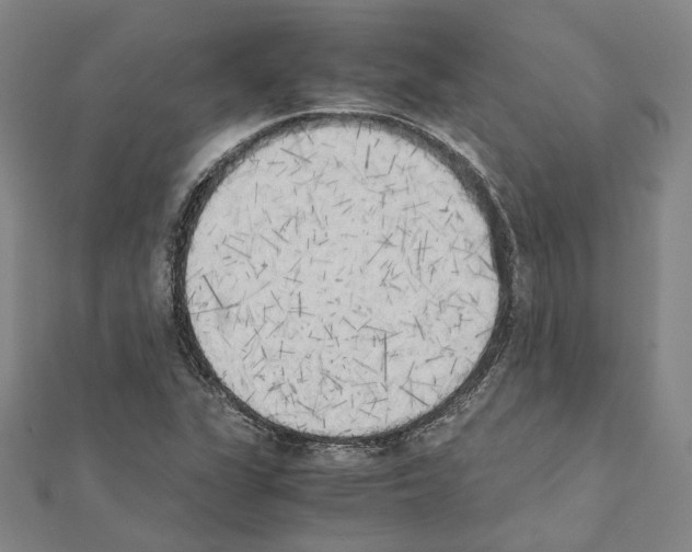 X0000111451311200908241157