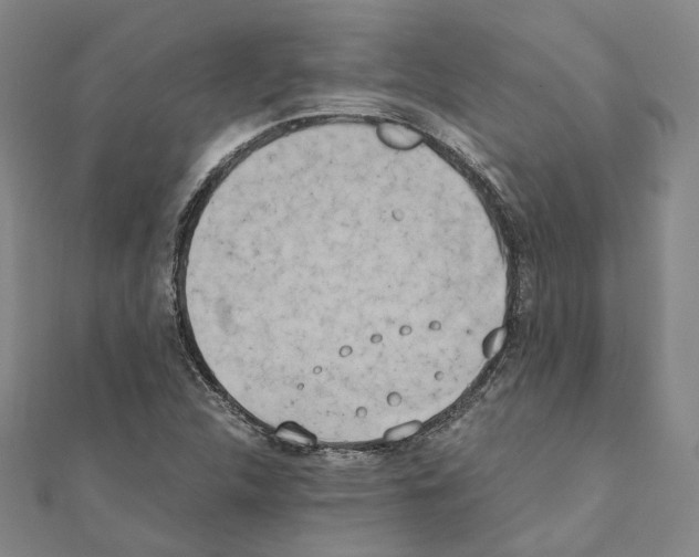 X0000111451312200908241157