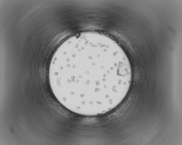 X0000111451313200908241157