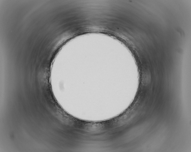 X0000111451314200908241157