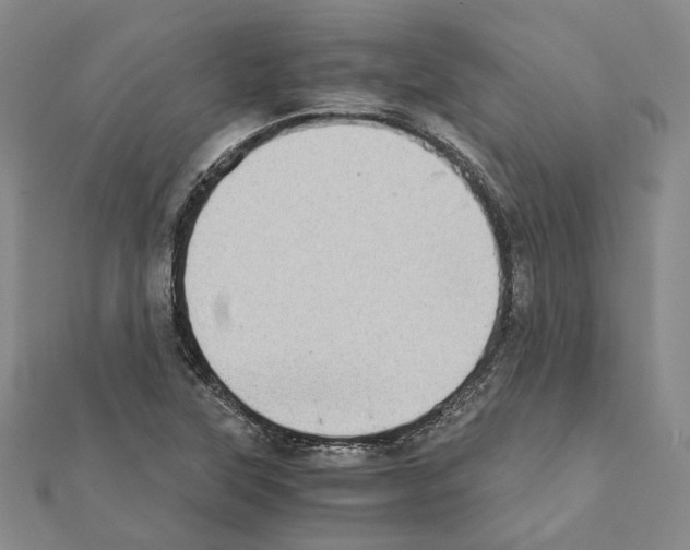 X0000111451315200908241157