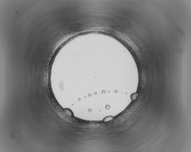 X0000111451316200908241157