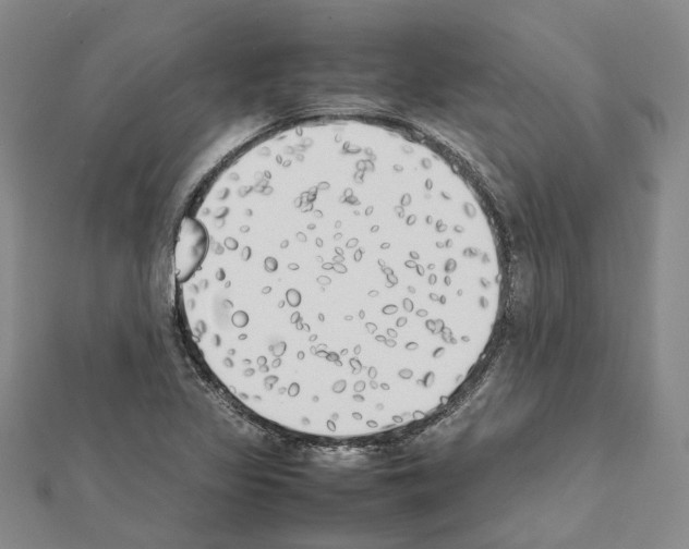 X0000111451317200908241157