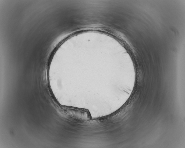 X0000111451320200908241157