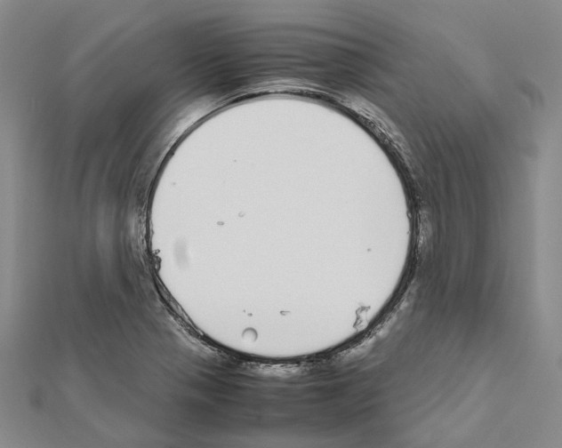 X0000111451321200908241157