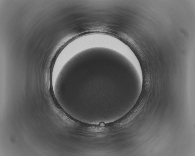 X0000111451323200908241157