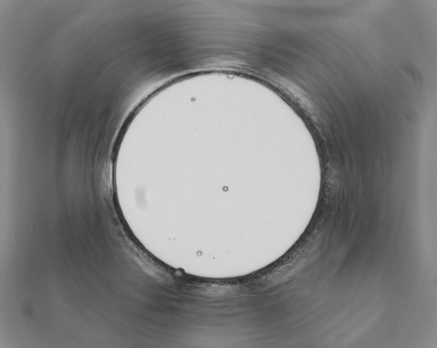 X0000111451324200908241157