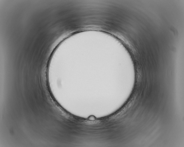 X0000111451325200908241157