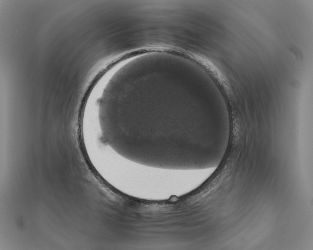 X0000111451327200908241157
