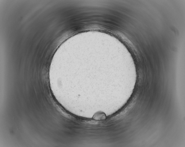 X0000111451329200908241157