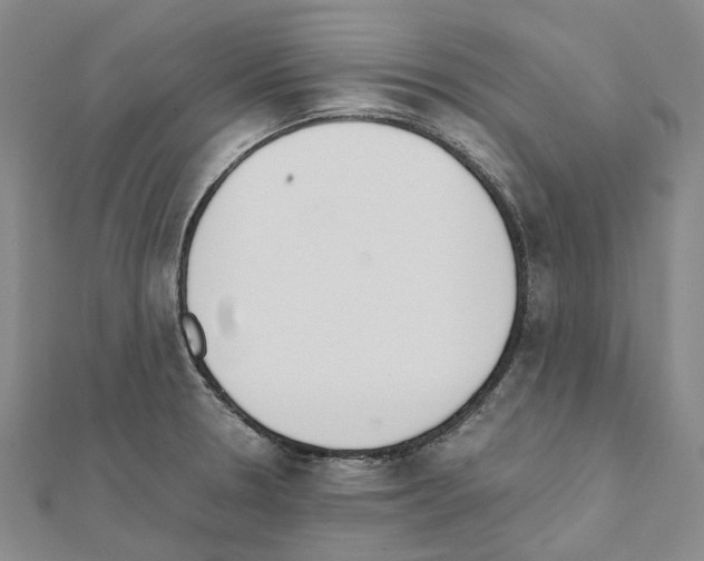 X0000111451330200908241157
