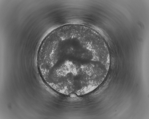 X0000111451331200908241157
