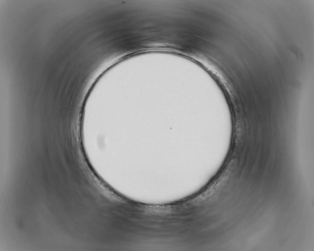 X0000111451333200908241157