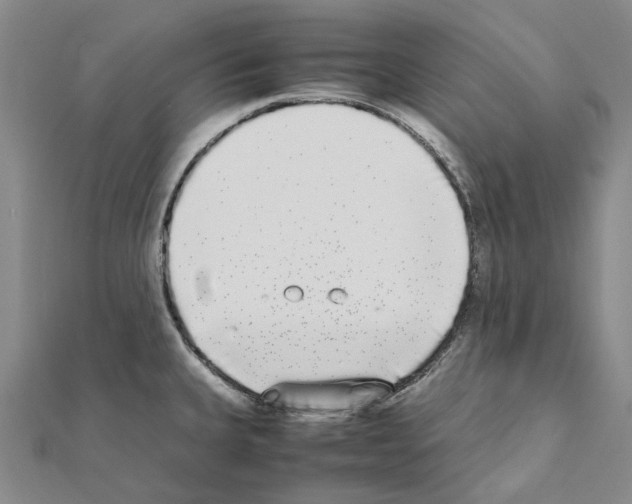 X0000111451335200908241157