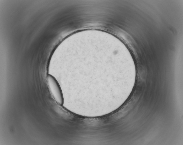 X0000111451336200908241157