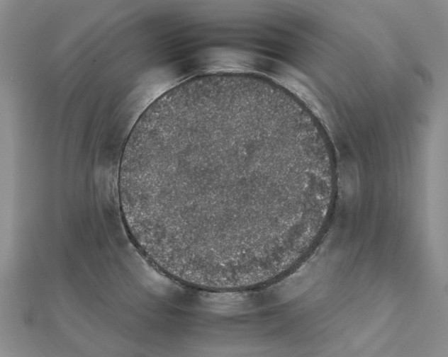 X0000111451337200908241157