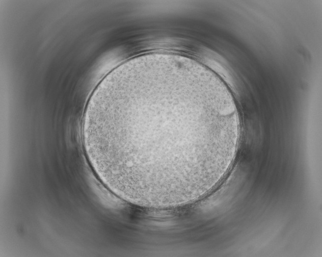 X0000111451338200908241157