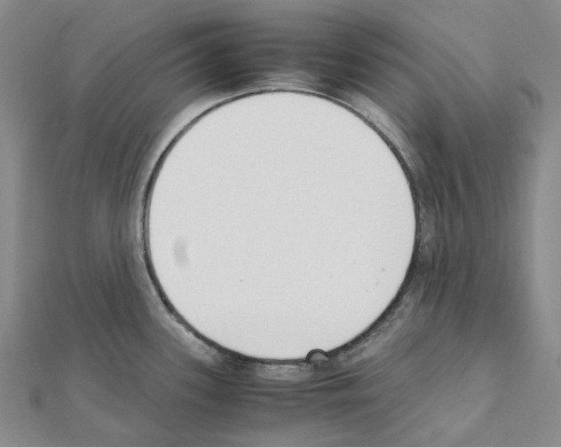 X0000111451339200908241157