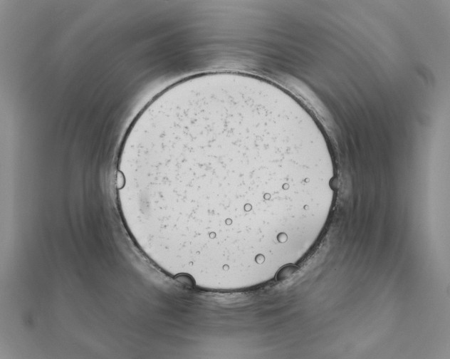 X0000111451340200908241157